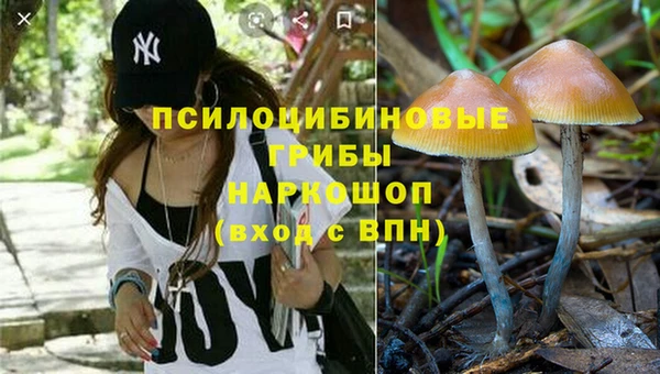 Альфа ПВП Алексеевка