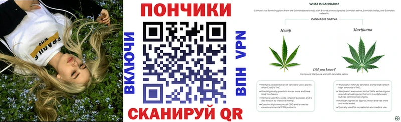 Бошки марихуана ГИДРОПОН  Гвардейск 